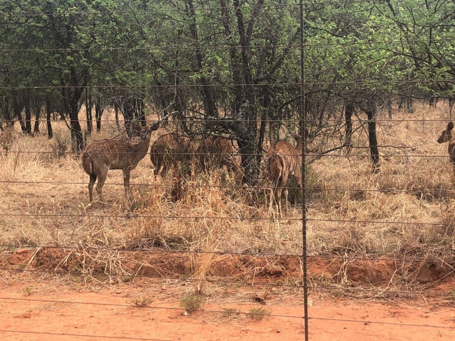 Commercial Property for Sale in Potchefstroom Rural North West
